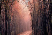 欧博abg官网：[澳网]男单决赛：辛纳VS兹维列夫 集锦.