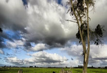 欧博abg官网:面对佩顿砍40分,科比为他打替补,被称为范疯子的他,后来去了哪里?.